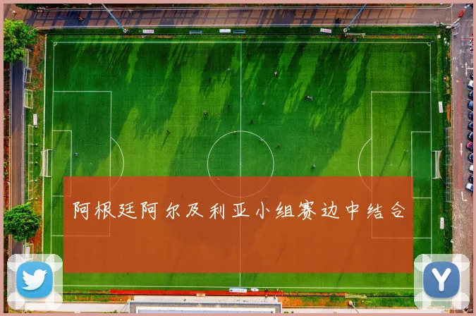 阿根廷阿尔及利亚小组赛边中结合