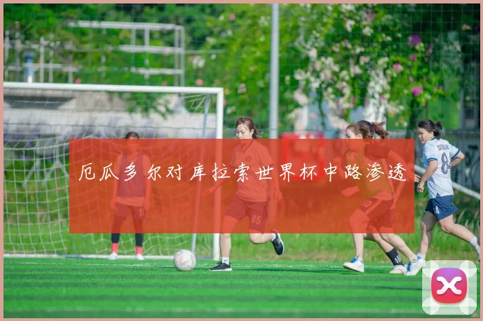 厄瓜多尔对库拉索世界杯中路渗透