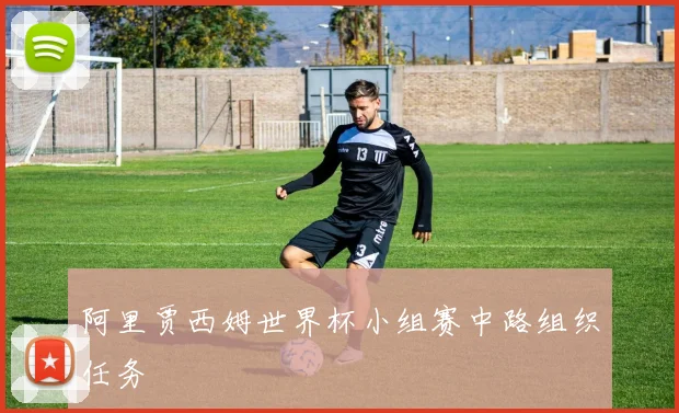 阿里贾西姆世界杯小组赛中路组织任务