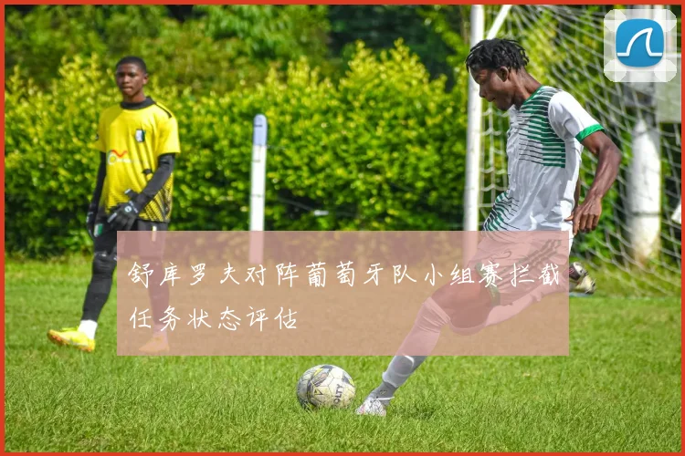 舒库罗夫对阵葡萄牙队小组赛拦截任务状态评估