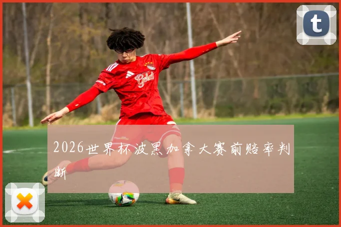 2026世界杯波黑加拿大赛前赔率判断