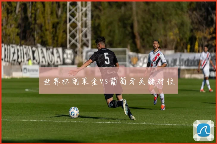 世界杯刚果金vs葡萄牙关键对位