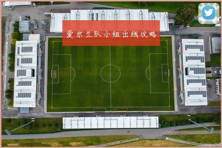 爱尔兰队小组出线攻略