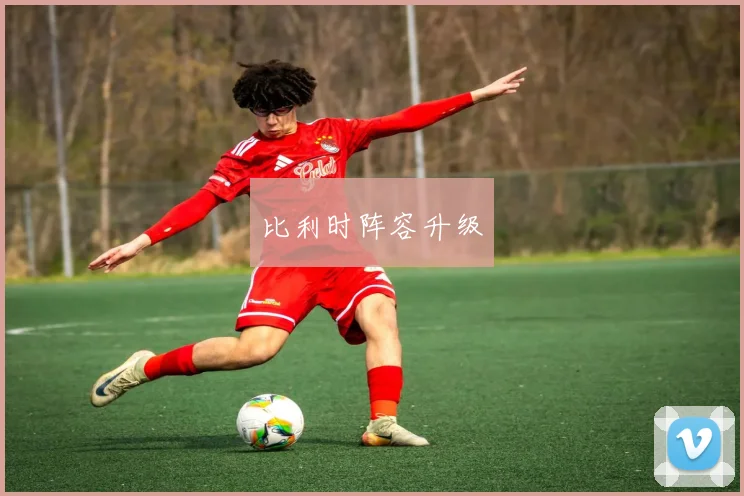 比利时阵容升级