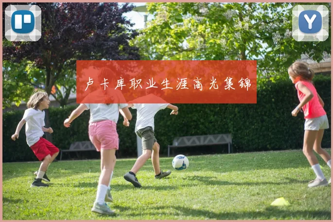 卢卡库职业生涯高光集锦