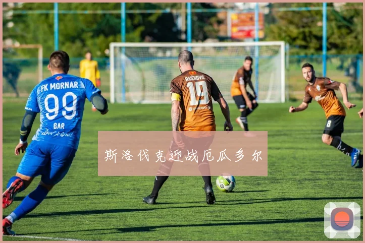 斯洛伐克迎战厄瓜多尔