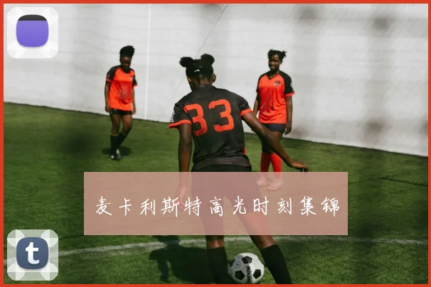 麦卡利斯特高光时刻集锦