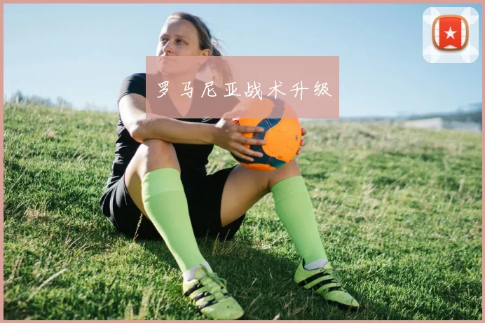 罗马尼亚战术升级