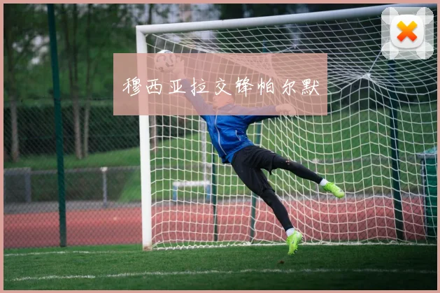 穆西亚拉交锋帕尔默