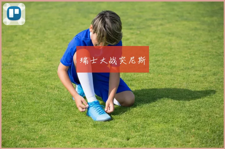 瑞士大战突尼斯