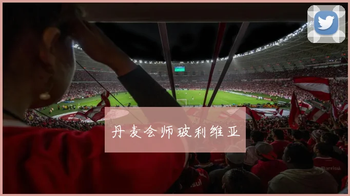 丹麦会师玻利维亚