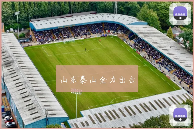 山东泰山全力出击