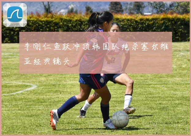 李刚仁鱼跃冲顶韩国队绝杀塞尔维亚经典镜头