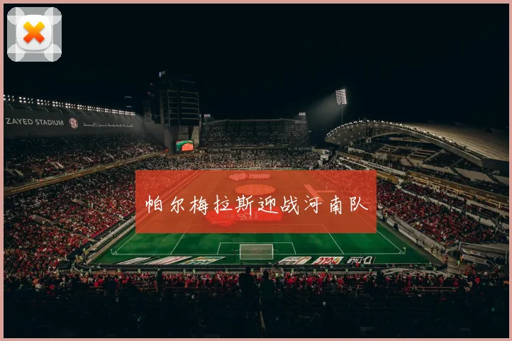 帕尔梅拉斯迎战河南队