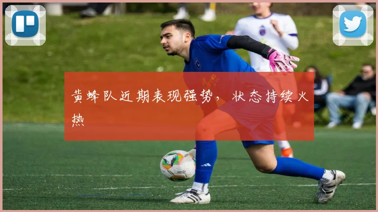 黄蜂队近期表现强势，状态持续火热