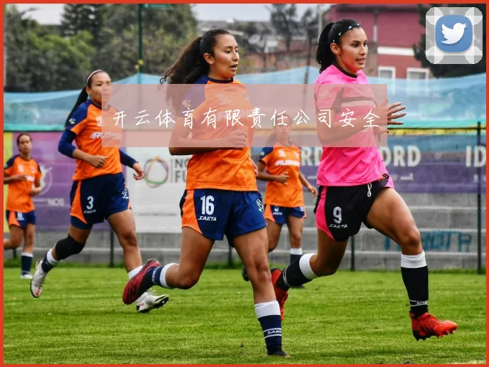 开云体育有限责任公司安全