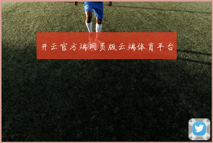开云官方端网页版云端体育平台