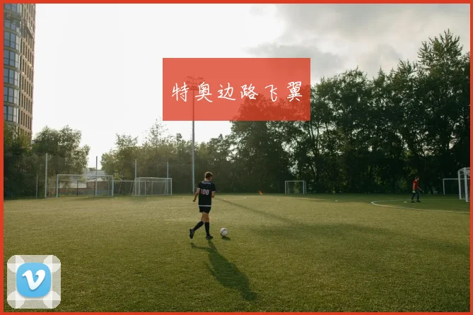 特奥边路飞翼