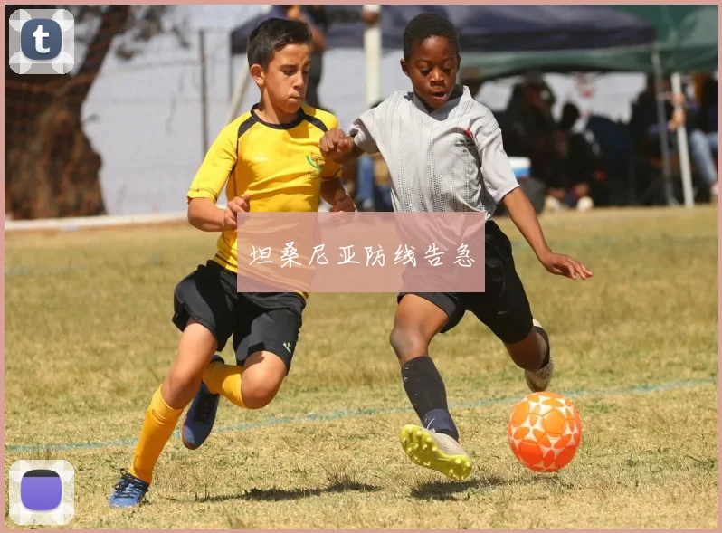 坦桑尼亚防线告急
