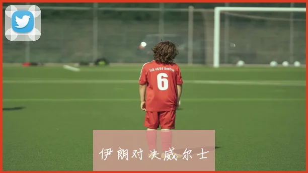 伊朗对决威尔士